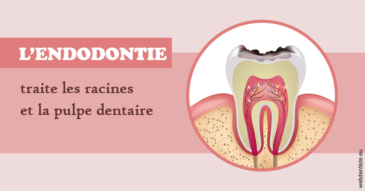 https://dr-bendahan-gabriel.chirurgiens-dentistes.fr/L'endodontie 2