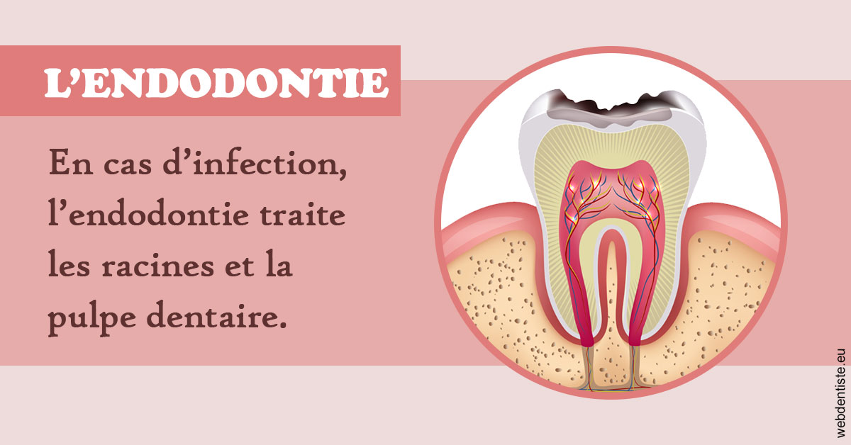 https://dr-bendahan-gabriel.chirurgiens-dentistes.fr/L'endodontie 2